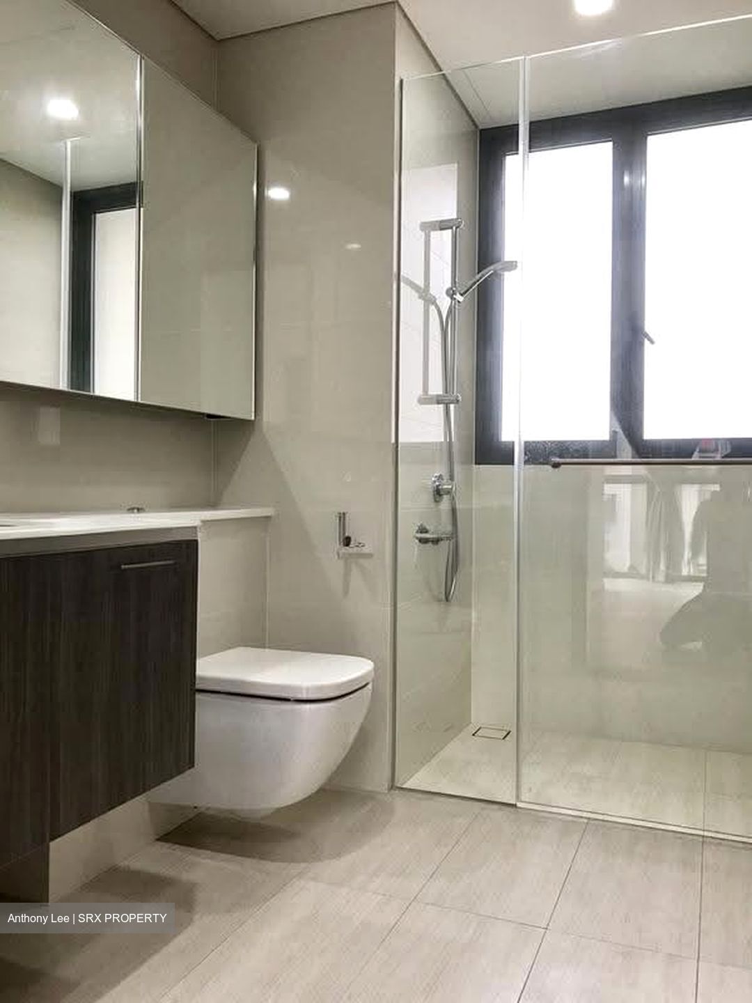 Lakeville (D22), Condominium #625142081